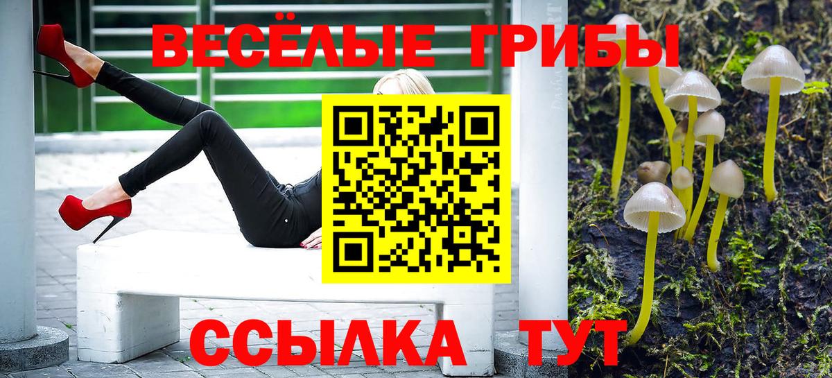 Галлюциногенные грибы прущие грибы  Вход с VPN  Галлюциногенные грибы мицелий  Костомукша 