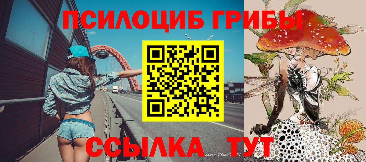 Псилоцибиновые грибы Cubensis Костомукша